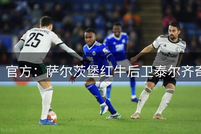 官方：萨尔茨堡红牛后卫泰尔齐奇加盟弗罗西诺内，签约3年